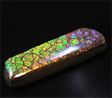 Крупный аммолит аммонит 23,49 карат 