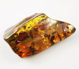 Балтийский янтарь с фрагментами цветков 24,43 грамм 