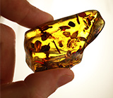 Балтийский янтарь с фрагментами цветков 24,43 грамм 