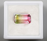 Арбузный турмалин 3,65 карат 