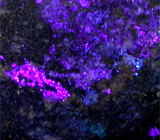 Опал 13,42 карат 