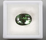 Голубовато-зеленый турмалин 6,48 карат 