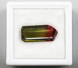 Арбузный турмалин 5,8 карат 