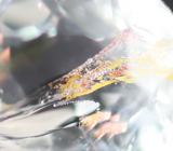 Бесцветный топаз 1,32 карат 