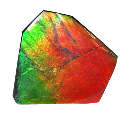 Аммолит аммонита 10 карат