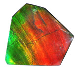 Аммолит аммонита 10 карат 