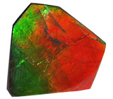 Аммолит аммонита 10 карат 