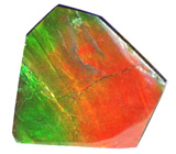 Аммолит аммонита 10 карат 