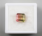 Арбузный турмалин 3,94 карат 