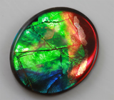 Аммолит аммонита 3,15 карат 