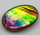 Аммолит аммонита 8,46 карат 