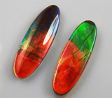 Пара аммолитов аммонита 5,1 карат 