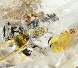 Редкий! Нефтяной энгидрит 41,5 карат 