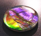 Аммолит аммонита 4,2 карат 