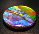 Аммолит аммонита 4,2 карат 