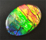 Аммолит аммонита 2,71 карат 