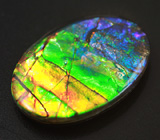 Аммолит аммонита 2,71 карат 