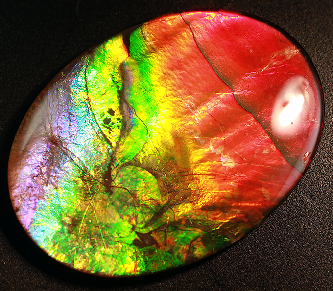 Аммолит аммонита 7,85 карат