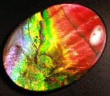 Аммолит аммонита 7,85 карат 