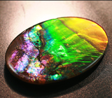 Аммолит аммонита 7,85 карат 