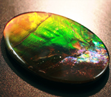 Аммолит аммонита 7,85 карат 