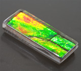 Аммолит аммонита 1,69 карат 