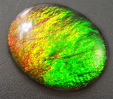 Аммолит аммонита 1,97 карат 