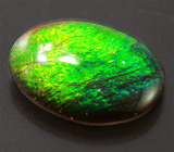 Аммолит аммонита 1,97 карат 