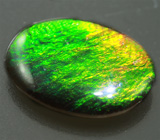 Аммолит аммонита 1,97 карат 