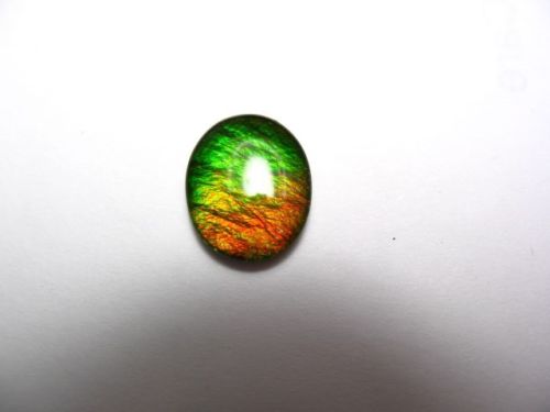 Аммолит аммонита 1,97 карат 