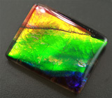 Аммолит аммонита 2,1 карат 