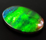 Аммолит аммонита 3,66 карат 