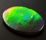 Аммолит аммонита 3,66 карат 