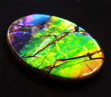 Аммолит аммонита 5,02 карат 