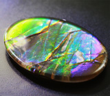 Аммолит аммонита 5,02 карат 