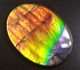 Аммолит аммонита 6,22 карат 