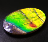 Аммолит аммонита 6,22 карат 