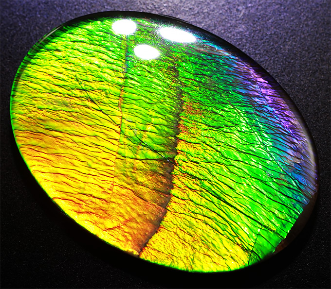 Аммолит аммонита 8,36 карат