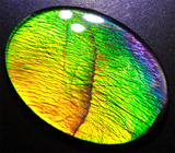 Аммолит аммонита 8,36 карат 