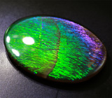 Аммолит аммонита 8,36 карат 