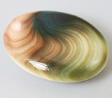 Раковина «Shiva Eye» 23 карата 