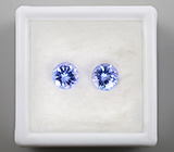 Пара тазанитов 1,63 карат 