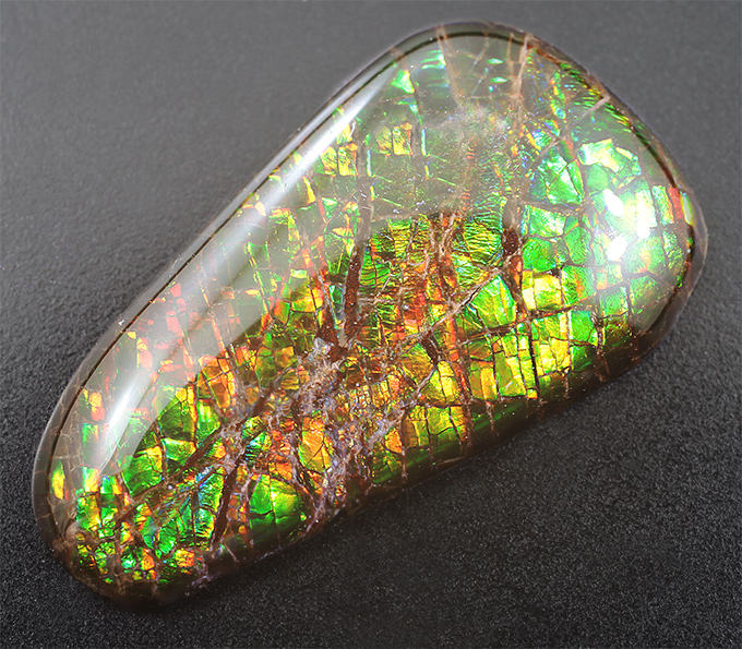 Аммолит аммонита 3,96 карат