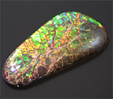 Аммолит аммонита 3,96 карат 