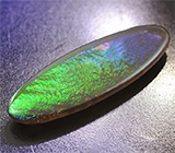 Аммолит аммонита 2,19 карат 