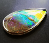 Аммолит аммонита 3,63 карат 