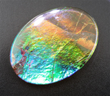 Аммолит аммонита 5,3 карат 