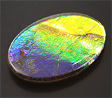 Аммолит аммонита 5,3 карат 