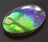 Аммолит аммонита 5,3 карат 