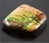 Аммолит аммонита 10,06 карат 